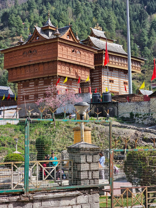 2025 India Retreat: 9 Days, 9 Goddesses: A Divine Heart Center Spiritual Retreat with Guru Shailesh