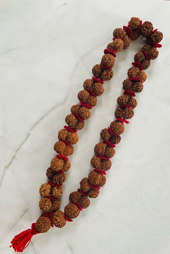 Gauri Shankar Rudraksha Mala