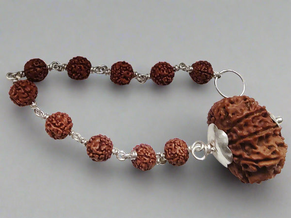 10 Mukhi  Rudraksha For Vastu