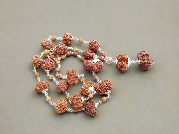 1 to 16 Mukhi Rudraksha Sarva Siddha Mala