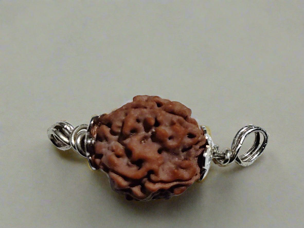 4 Mukhi Rudraksha