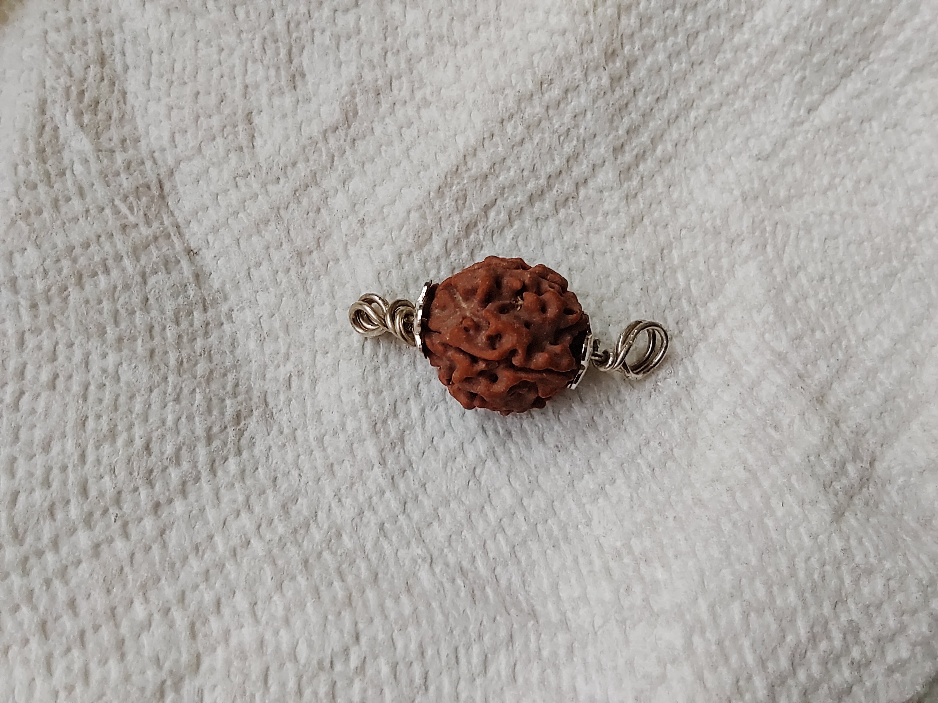 4 Mukhi Rudraksha