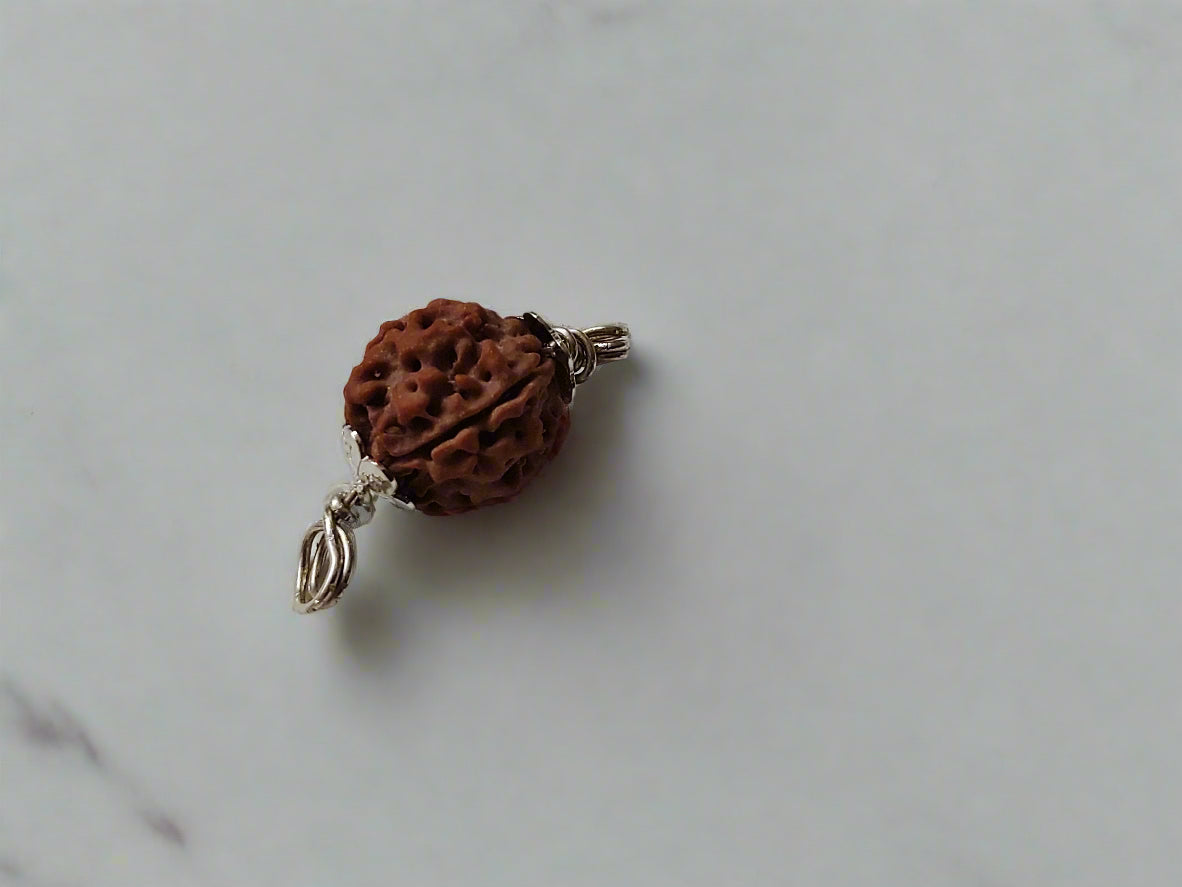 4 Mukhi Rudraksha