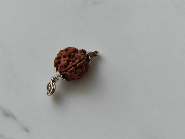 4 Mukhi Rudraksha