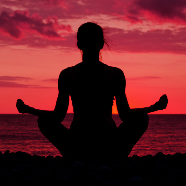 Meditate with Guru Shailesh/Master Gaurav